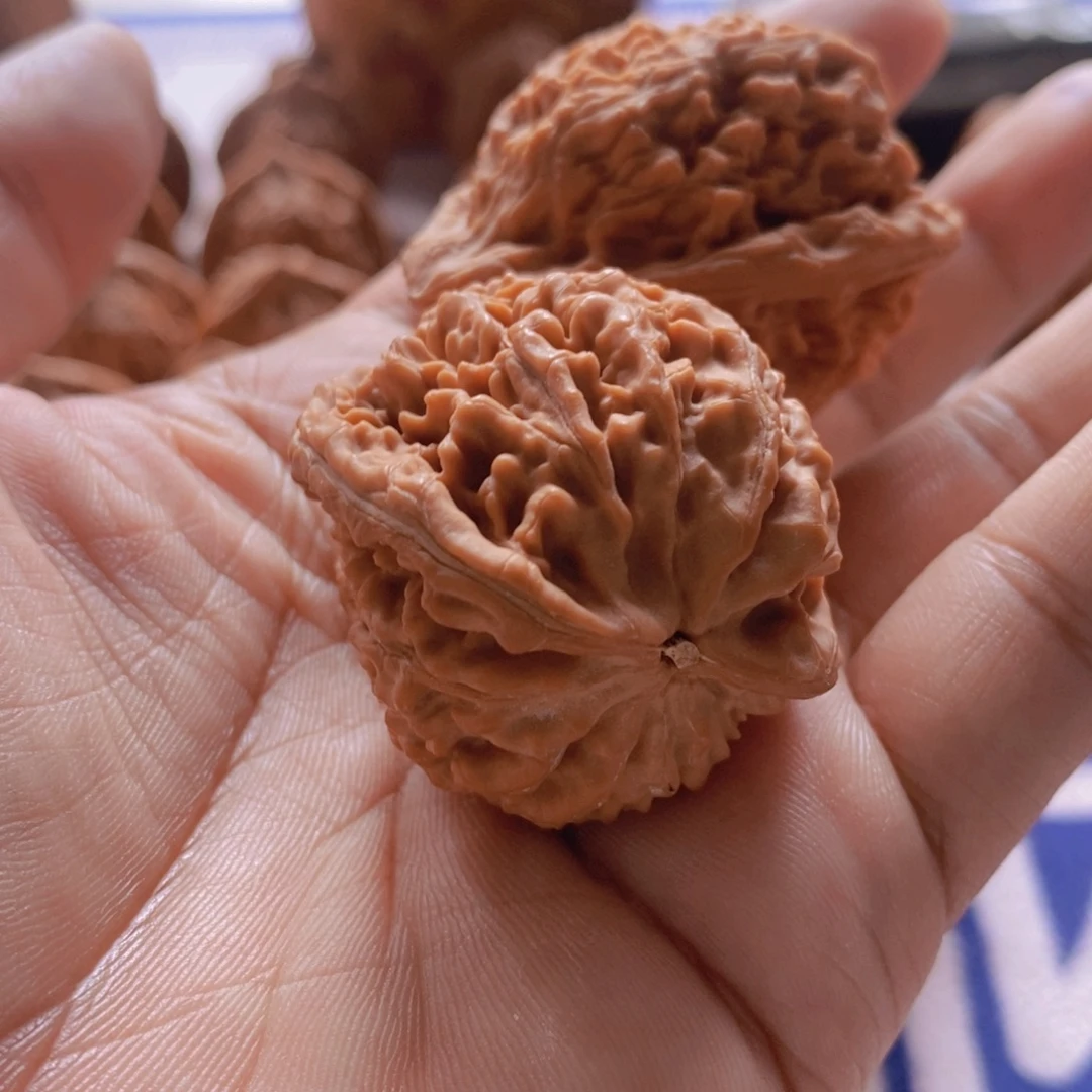 杰***.文玩核桃吊坠文玩核桃粗筋蚂蚁王