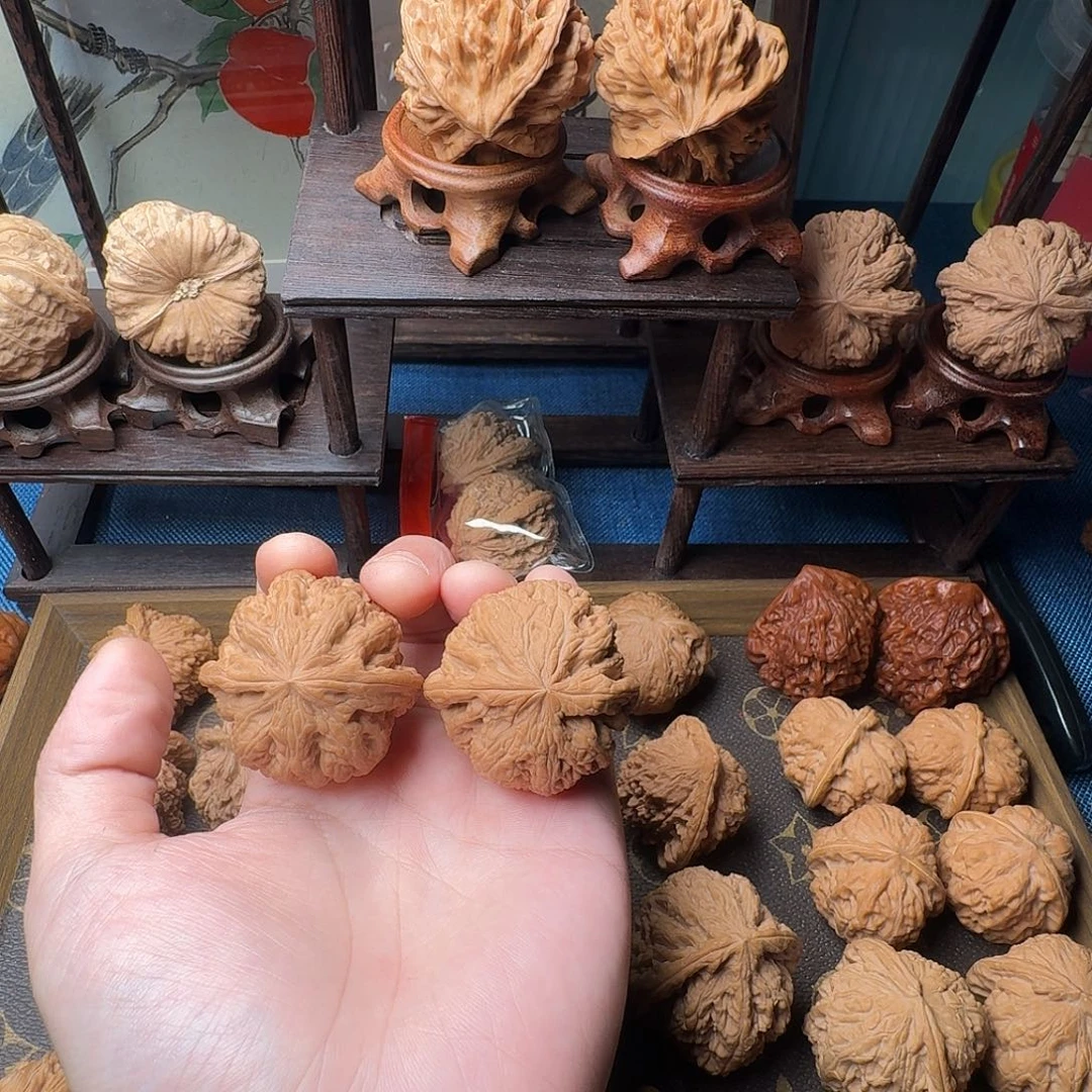 咖***者核桃大粗筋666888