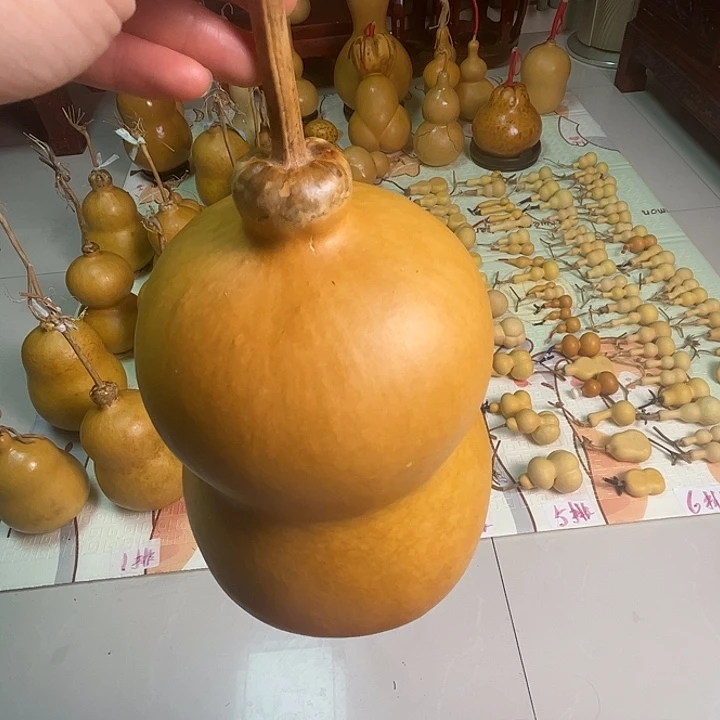 8***8胖墩葫芦葫芦葫芦