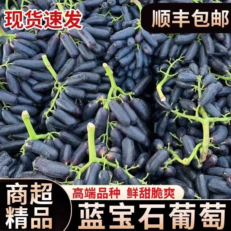 【4斤乐享】现摘现发蓝宝石金手指葡萄汁水饱满清脆无籽黑提花青素