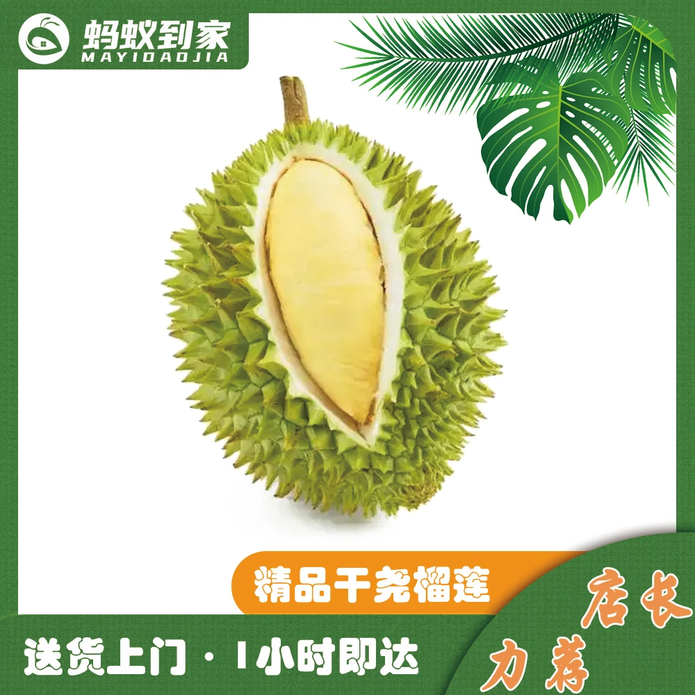 【现场称重】 干尧榴莲 一个榴莲同城送