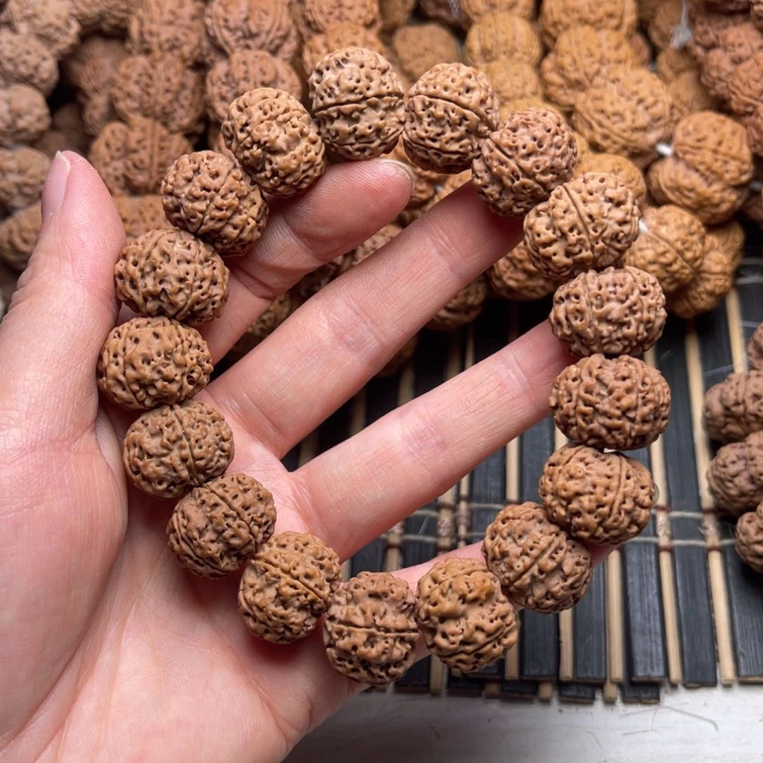 菩提57号金刚菩提矮壮原生态六瓣19+