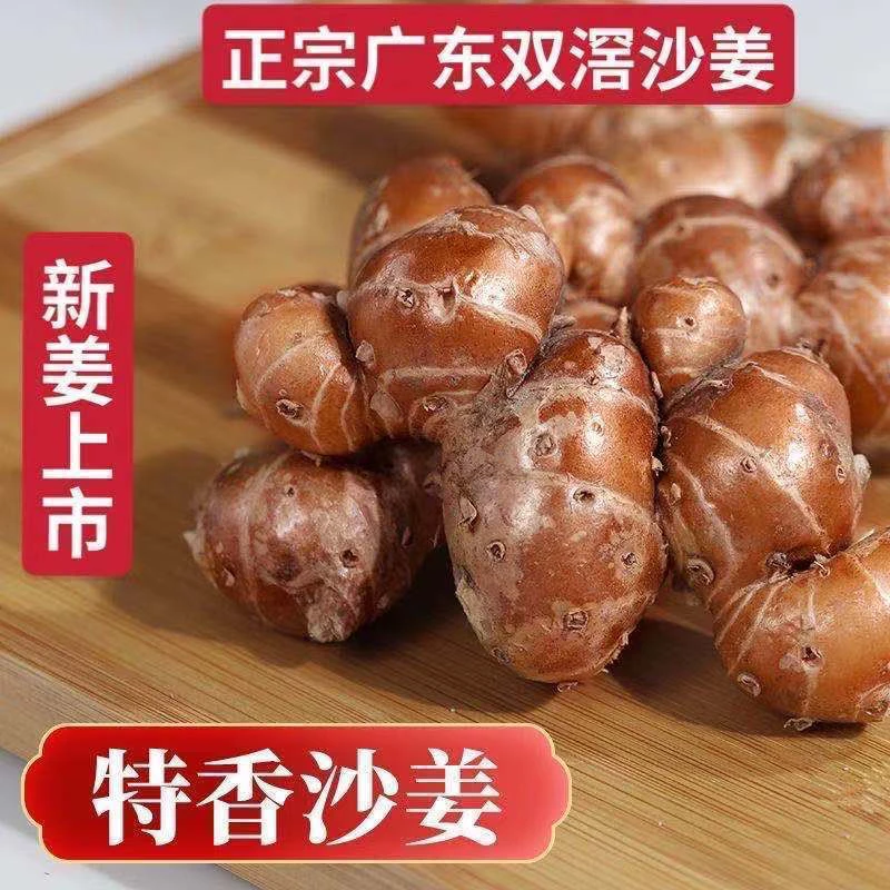 新鲜沙姜广东阳春特产山奈三奈可作白切鸡椰子鸡香料调味去腥