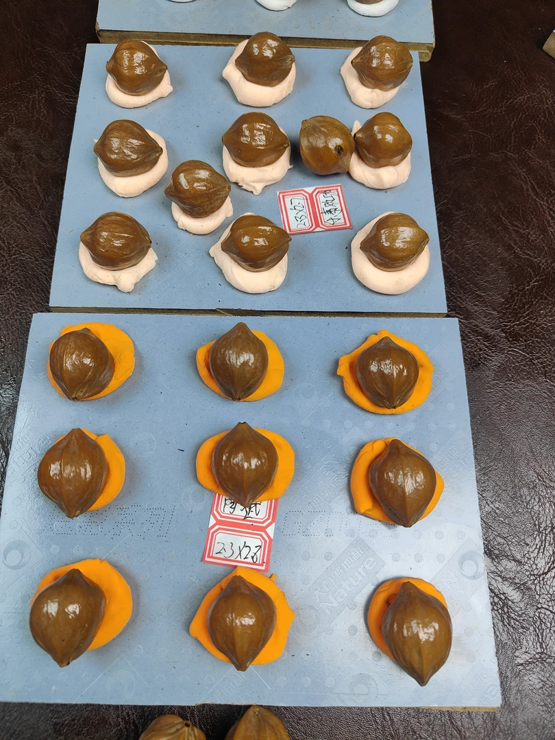 精卡铁核  2.3*2.7