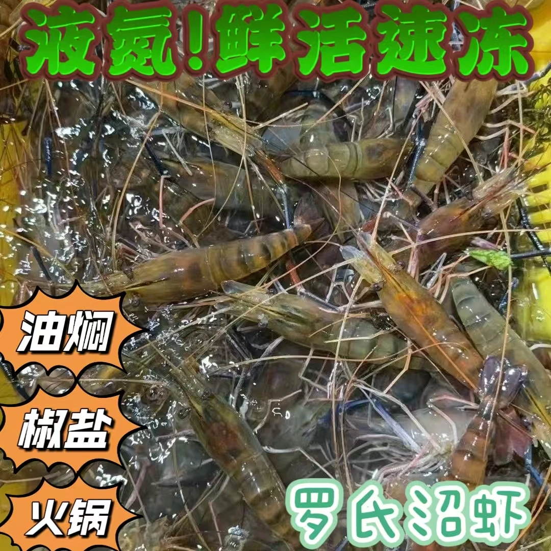 4斤大个头新鲜罗氏虾一斤10-15只左右，可椒盐，油焖，红烧（软壳）