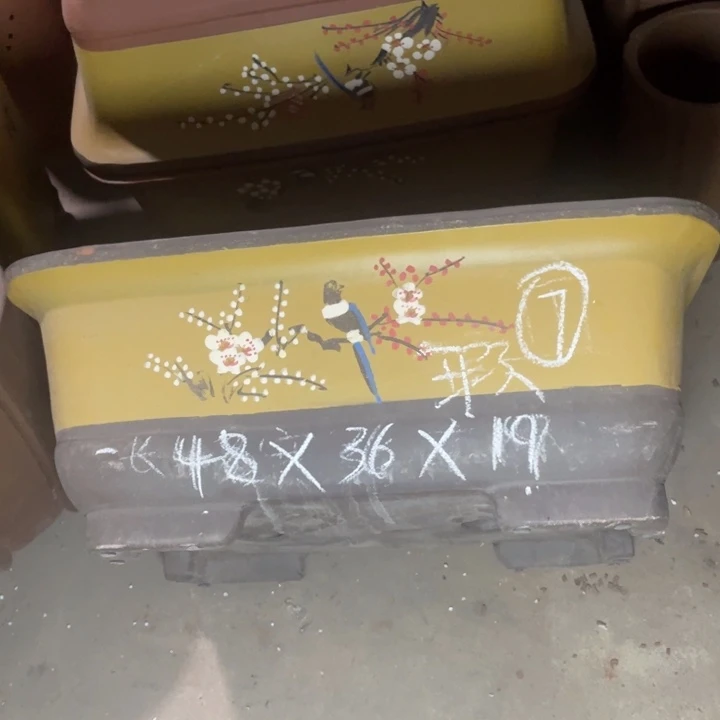 用****7周深周深周深周深周深走