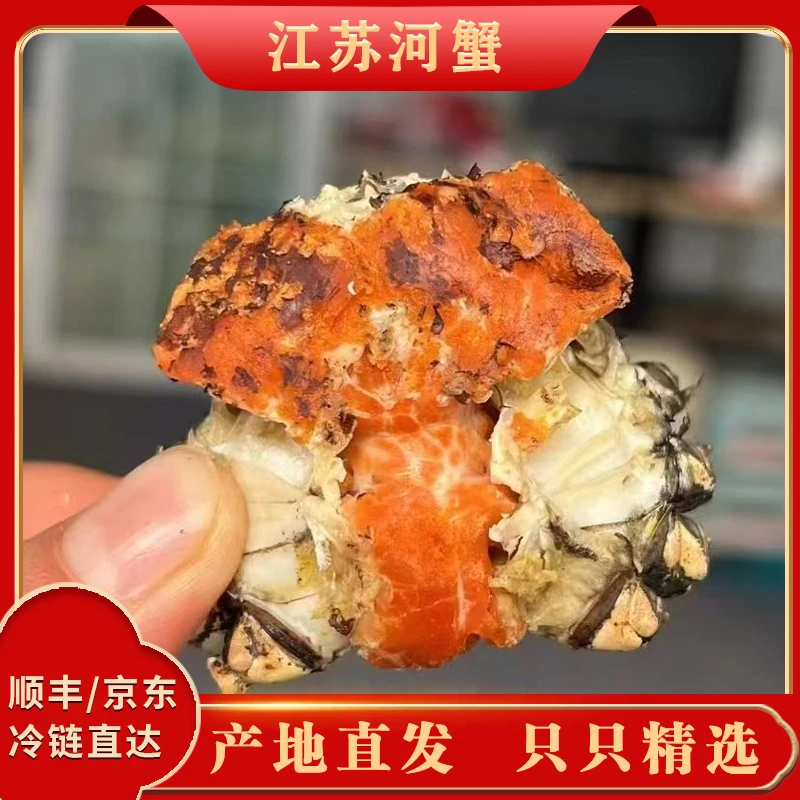 K【江苏全母活蟹】30只单只1.1-0.8两江苏河蟹顺丰冷链包邮到家