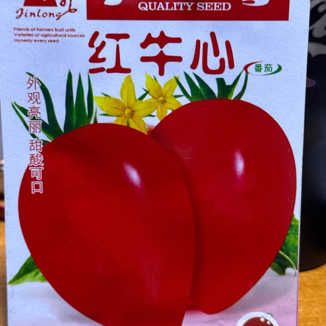 jj牛心柿子100粒今年新种今年新种