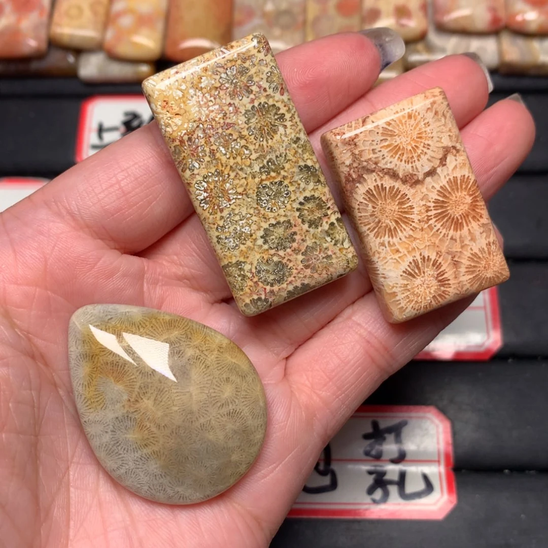 【闪购商品】未镶嵌颈饰硅化玉Q*