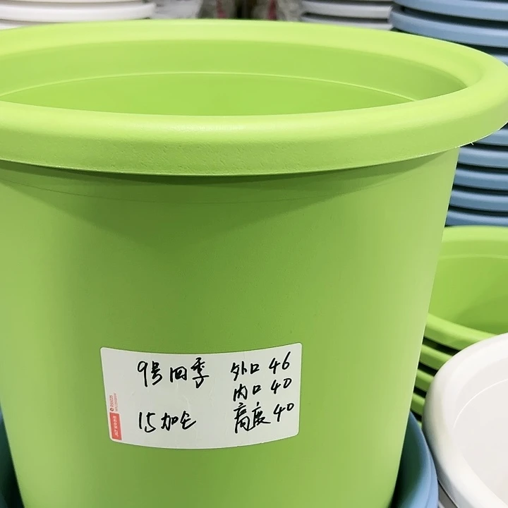 特价9号四季口46高40果绿带托10个