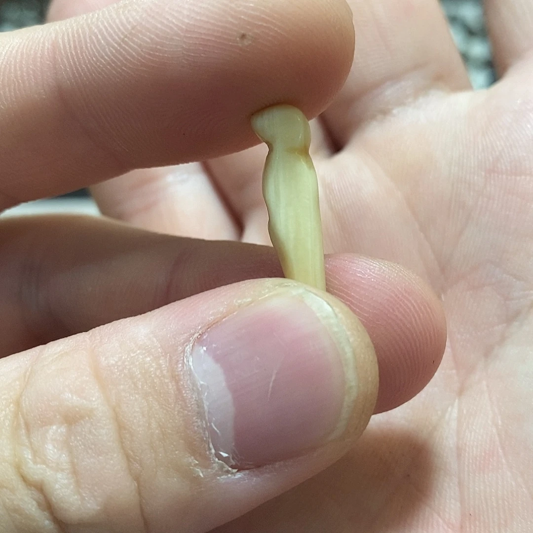铜铁合金类高白哈哈哈哈哈哈哈哈哈