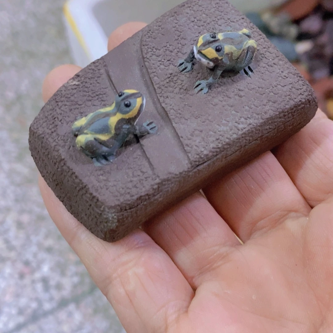 茶杯紫砂紫砂紫砂