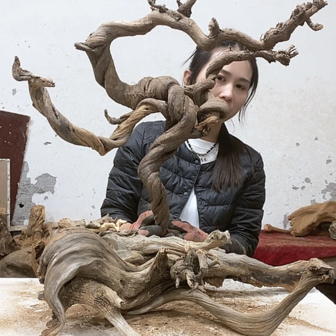 【闪购商品】柏木文**艺我们都是好孩子