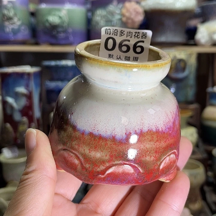 狼盆内口径4高度6