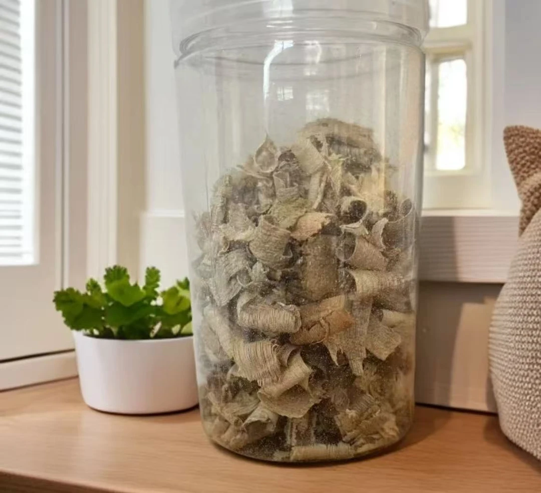 沉香【磊弟精选】FY175沉香木作文创