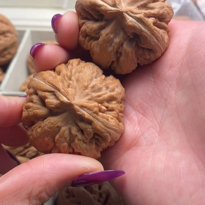 齊***走霸王龙全品无修一刀没动