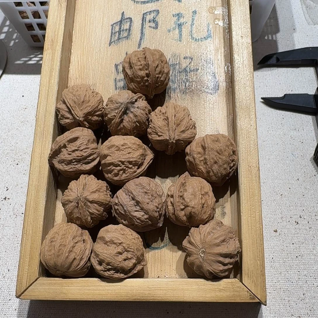 核桃手串/手链36号边26肚25高24