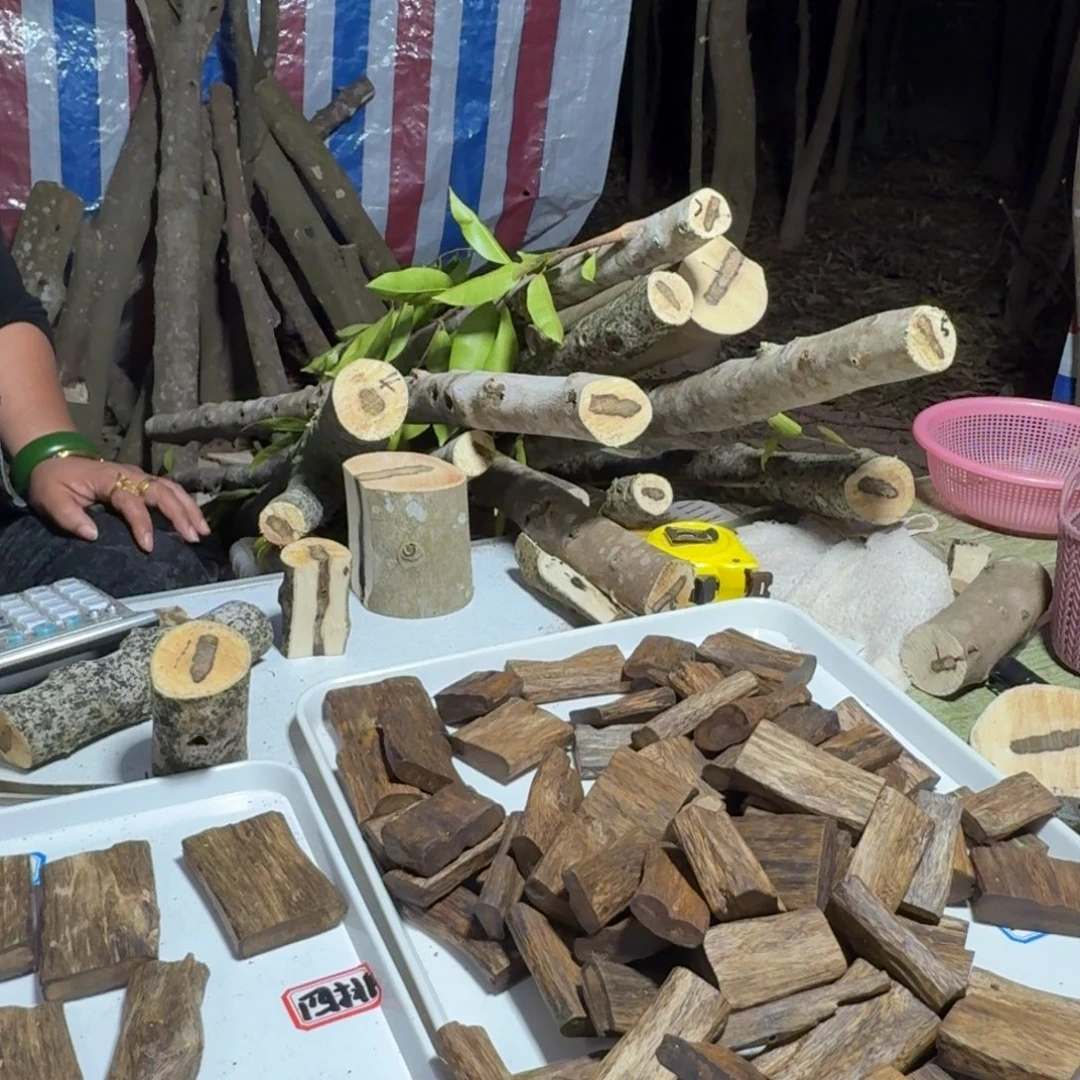 贾***才线香奇楠沉香原木