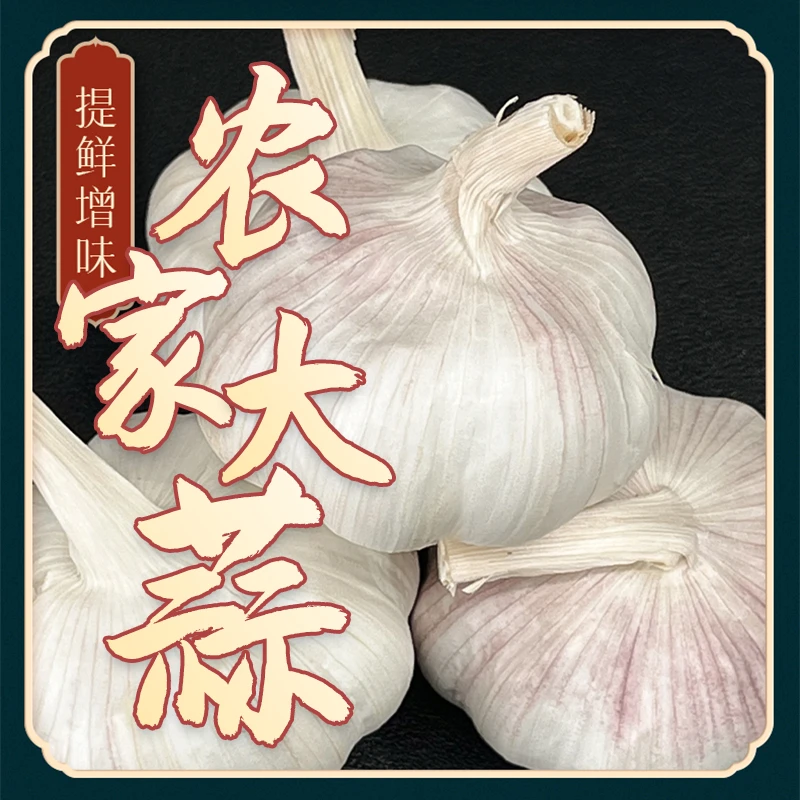 【今天拍，明天到】杞县农家土蒜年农家自种新干蒜紫白皮大蒜头可吃可种辛辣脆爽