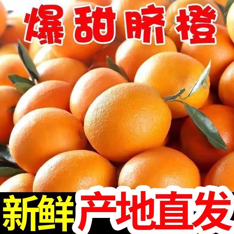 湖北当季现摘纽荷尔脐橙甜橙高山抖音脐橙应季水果新鲜自然水果