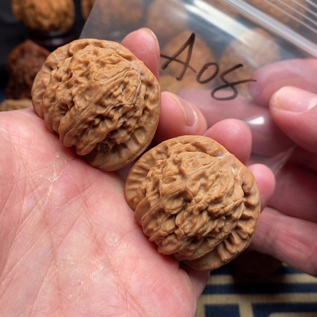 文玩核桃把件T**y38白狮子