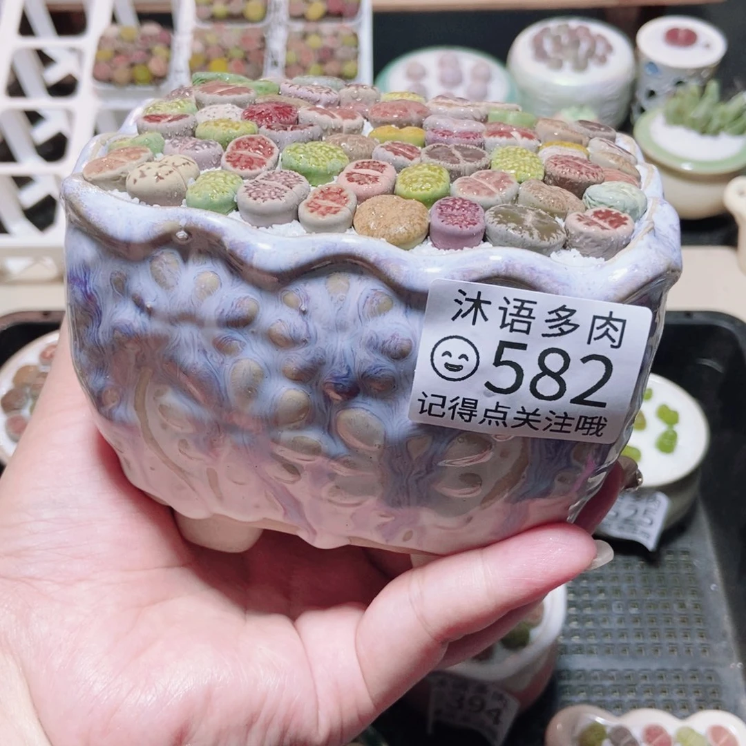 一物一拍 却见即所得582