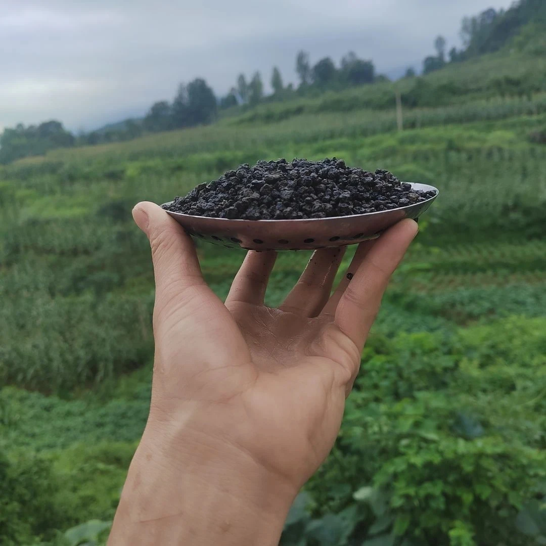 兰菌颗粒黑山土，营养土养花