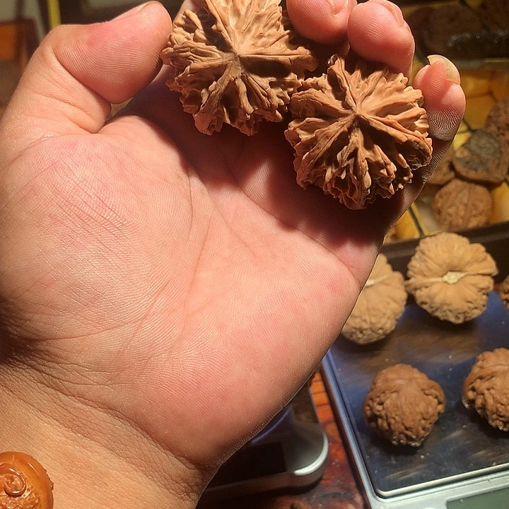 肆****文玩核桃把件三棱