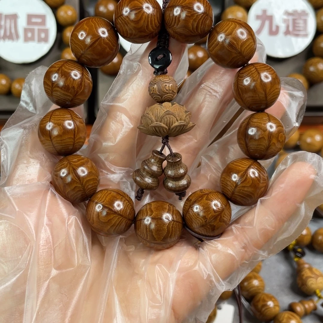 六道木枯树， 精品1.8