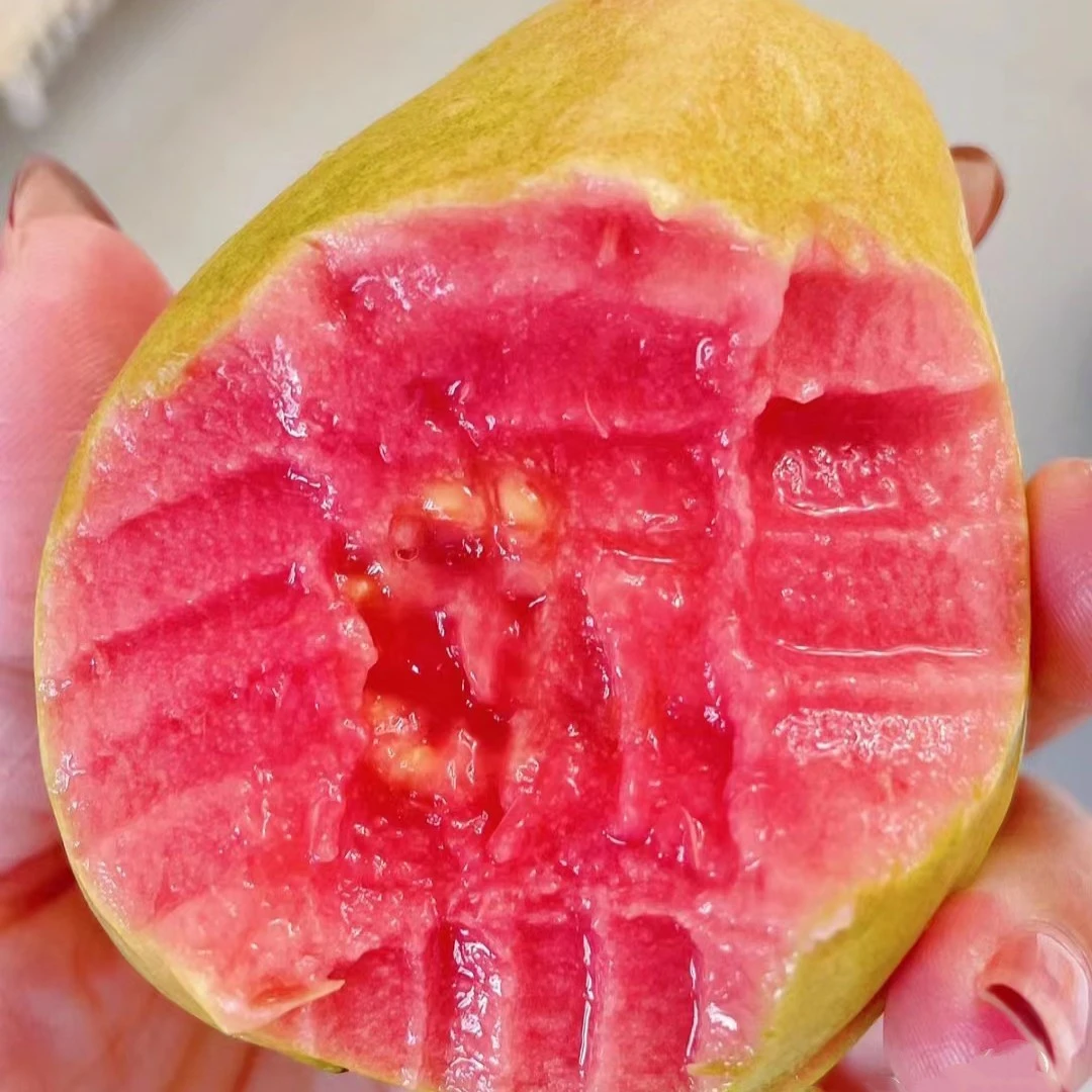 盐芭.草莓芭乐/3枚装