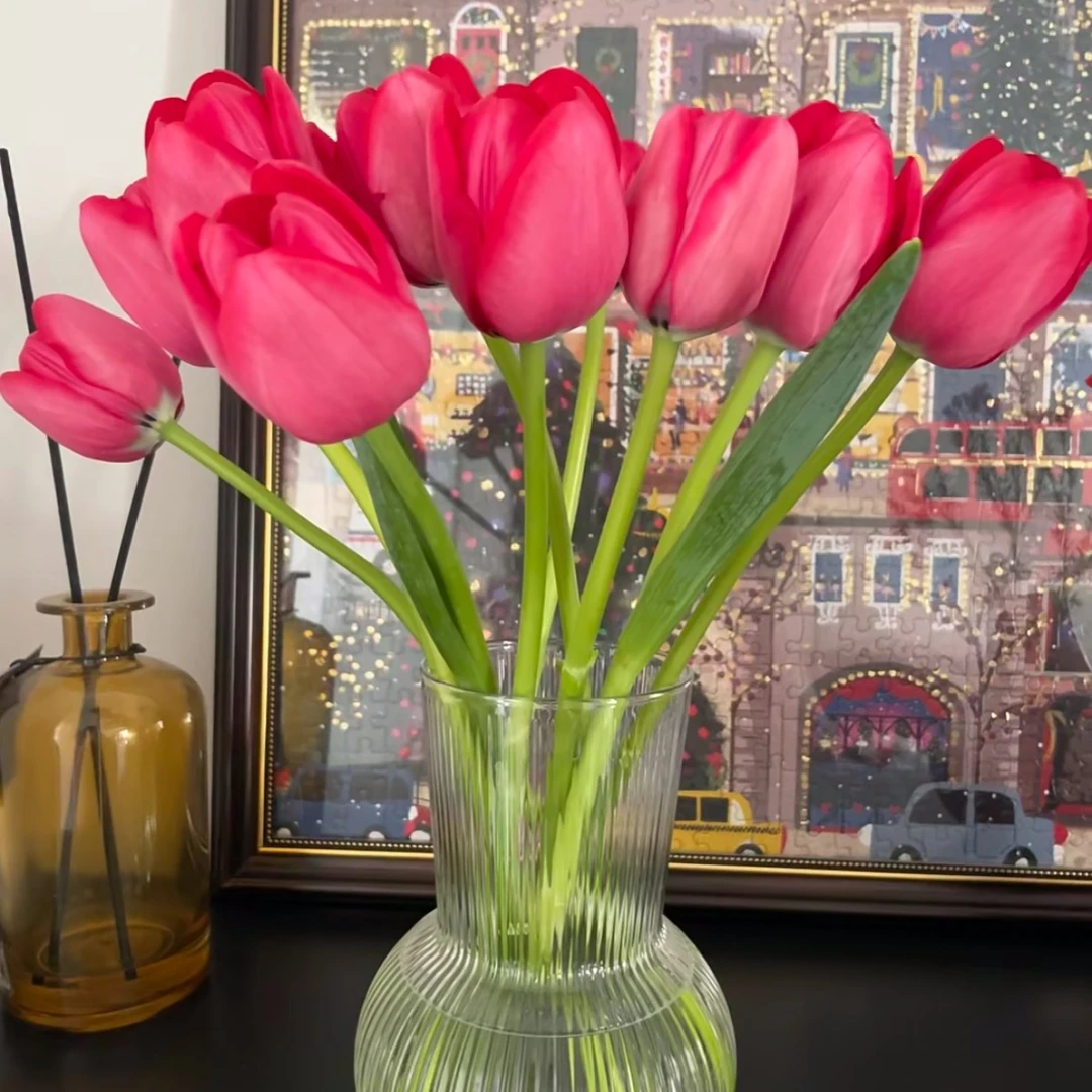 A级《法兰西》郁金香鲜花东北基地直发顺丰包邮家庭办公水养插花