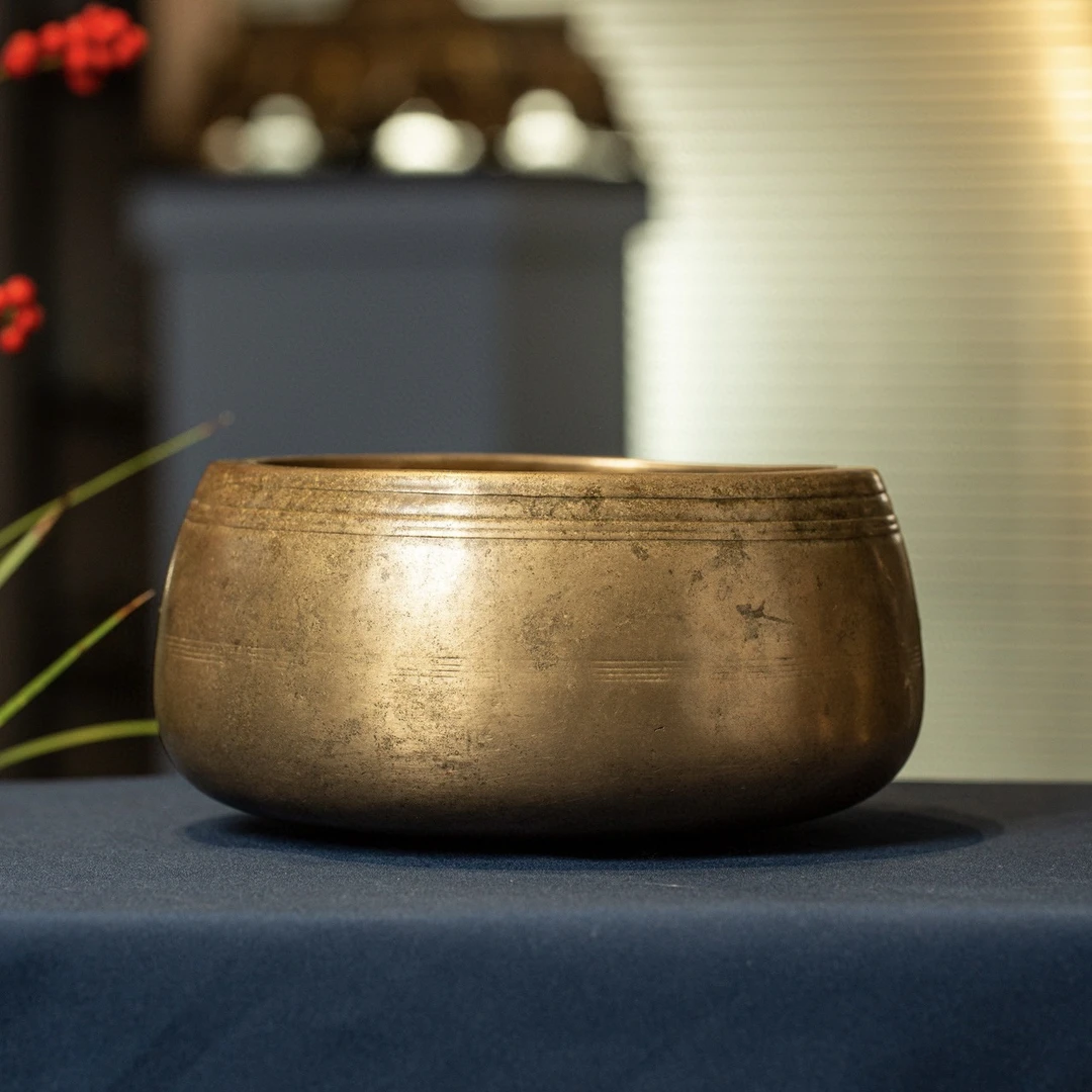 F5调15.5cm珍宝钵