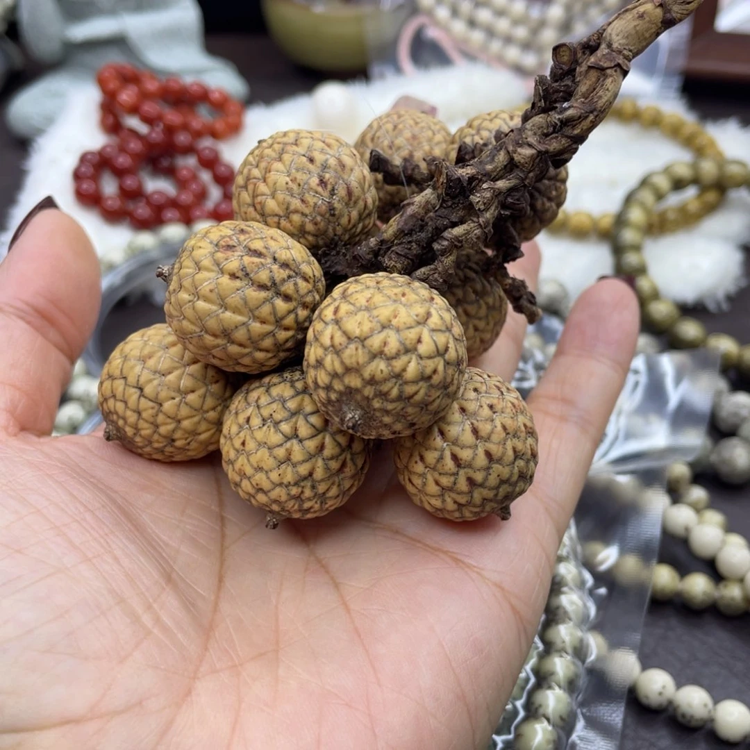 星月菩提手串S*a海南星月菩提原果