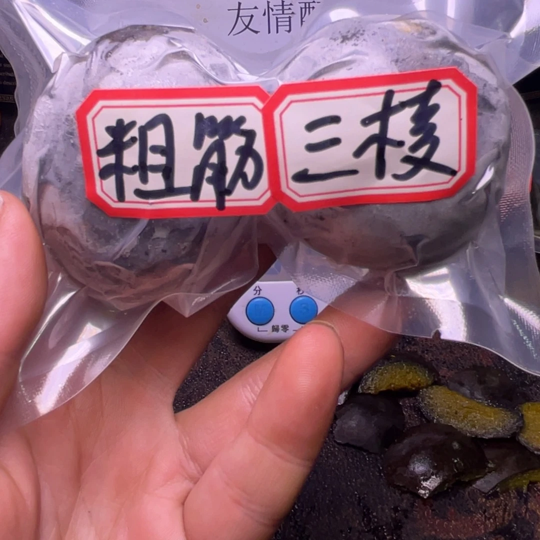 博***白文玩核桃把件文玩任赵