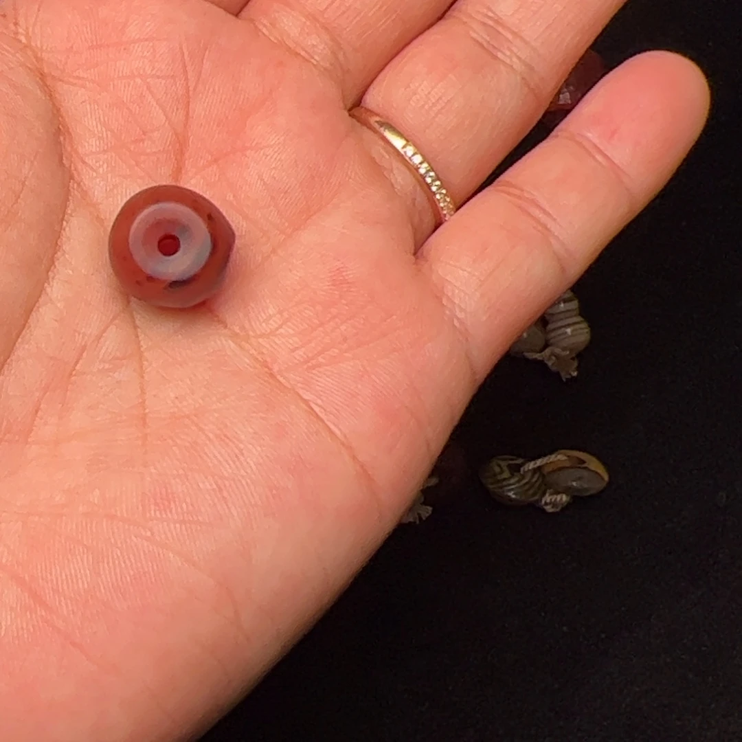 高***瞩玛瑙/玉髓未镶嵌配饰