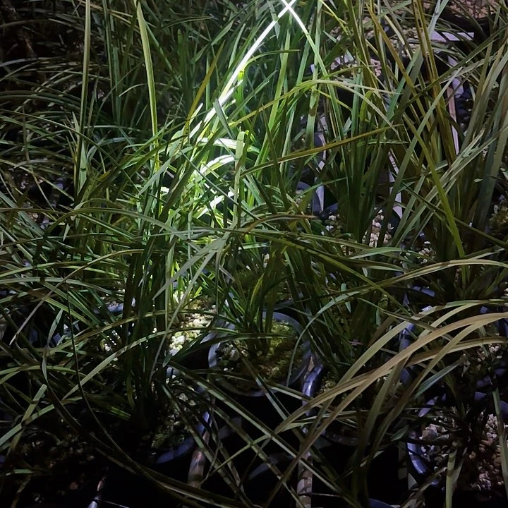 完全开放618福利219第三波