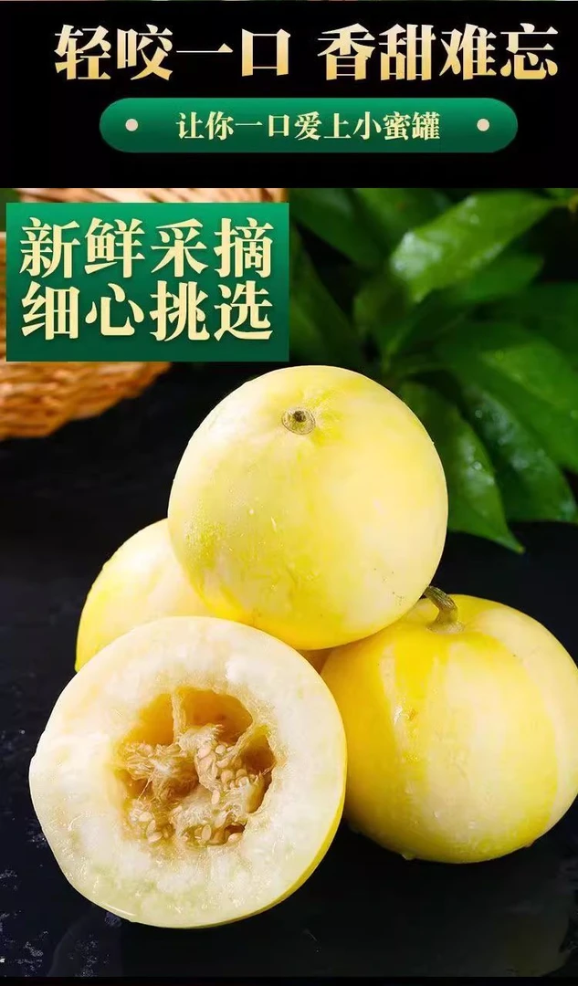 头茬小蜜蜂山东甜瓜新鲜当季香瓜水果应季蜜罐整箱脆甜多汁老式
