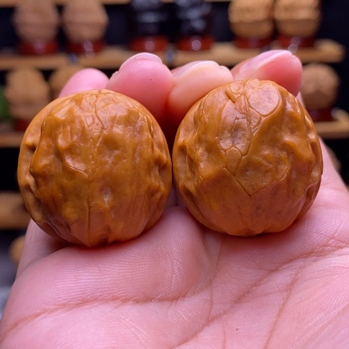 木质类云铁甲壳虫20号