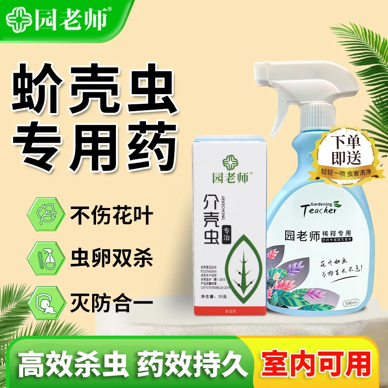 园艺花卉蚧壳虫专用药介壳虫杀虫剂多肉小白虫家用花卉植物杀虫剂