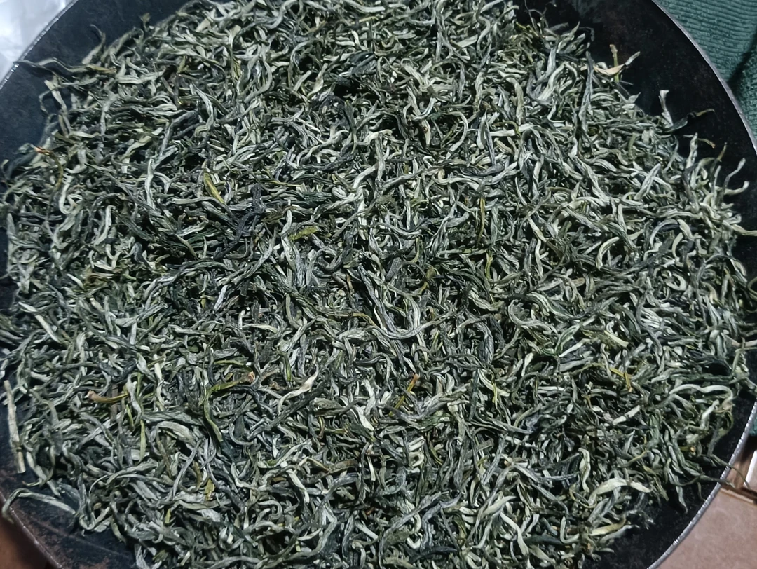 新上广西三江绿茶