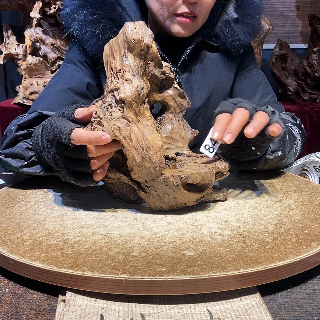 鹏***里845。株木随行根艺