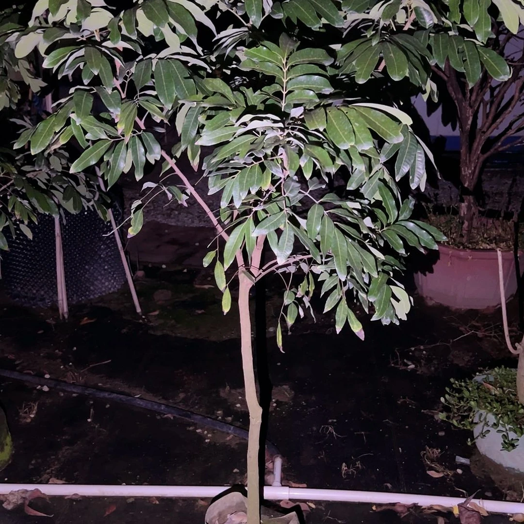 *****完全开放111111111