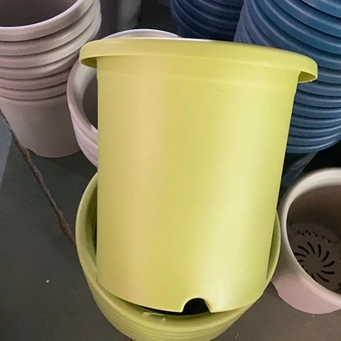 树脂四季7号微瑕果绿无托6个