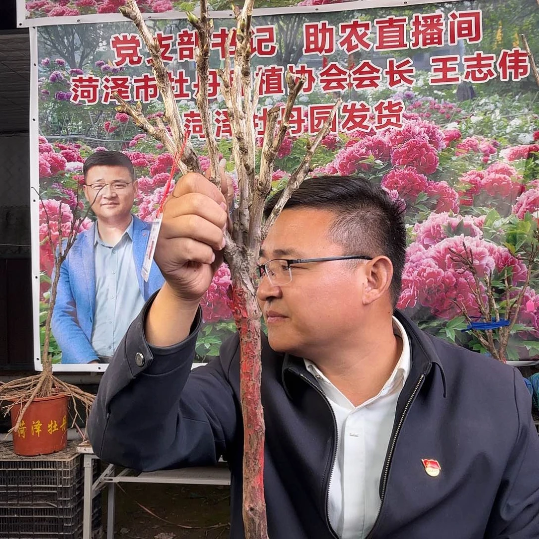 何***）完全开放洛阳红抖音