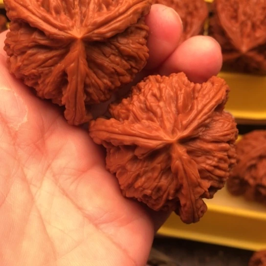 核桃核桃核桃核桃核桃