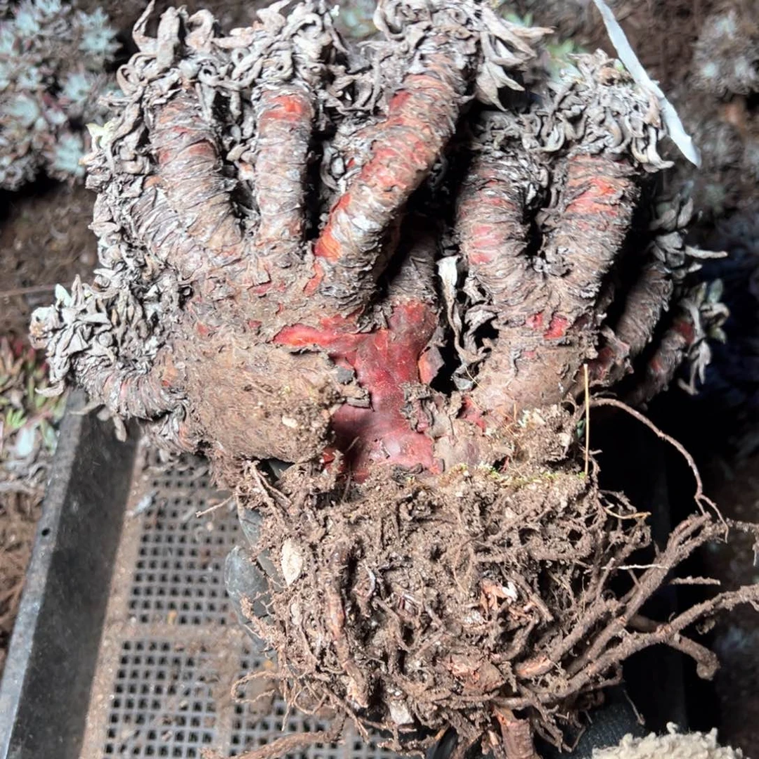 6207哈哈哈哈哈哈哈哈