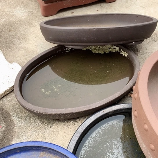 紫砂花盆　紫砂艺术
