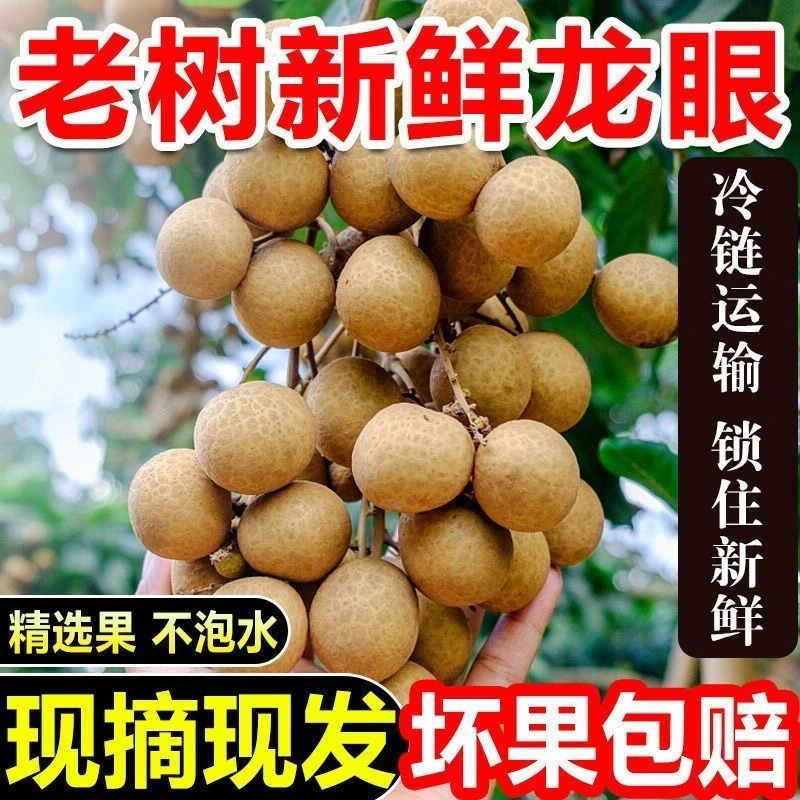 广东石硖龙眼新鲜龙眼桂圆储良龙眼非泰国龙眼特级桂圆一整箱批发