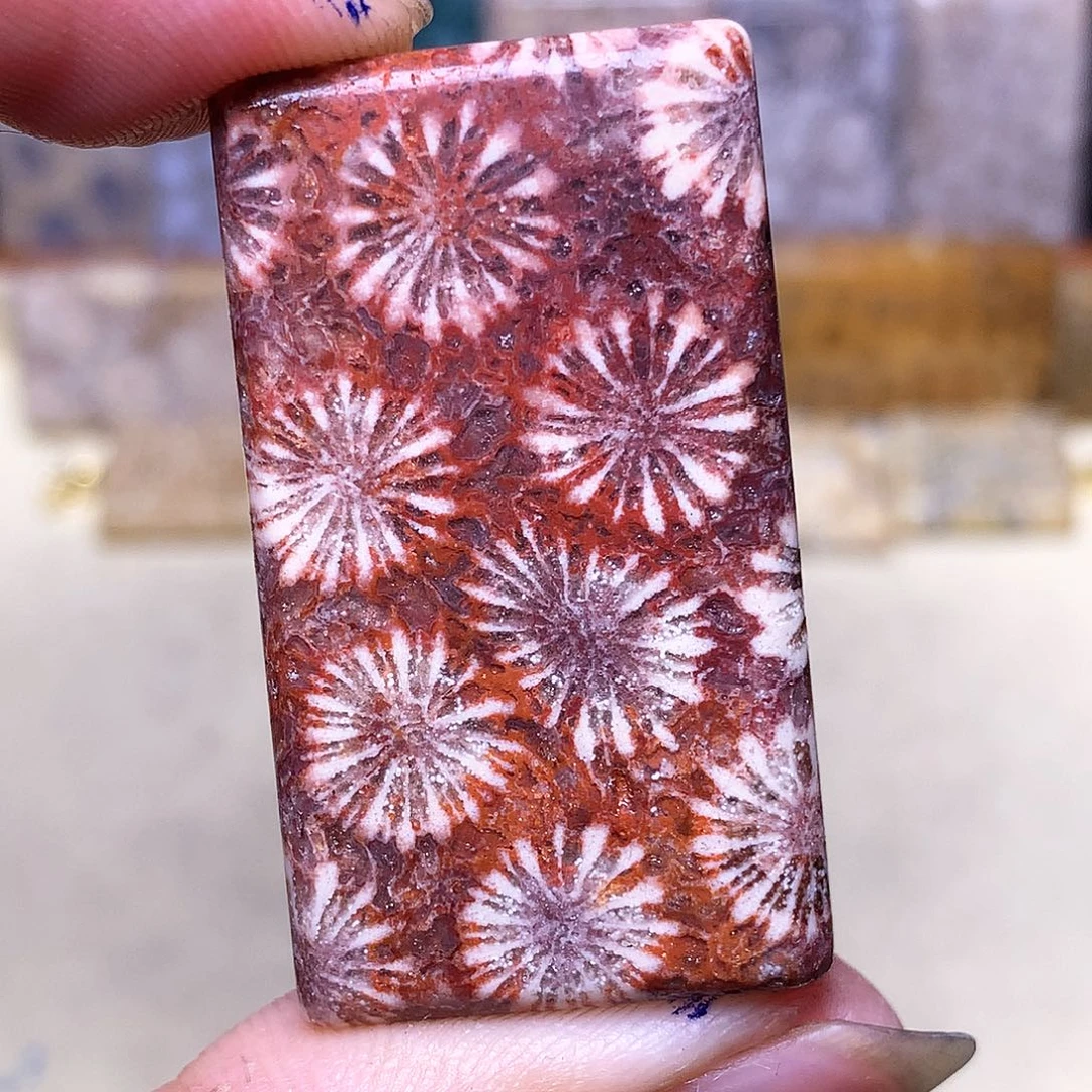 硅化玉珠宝奇石合金诺*宝