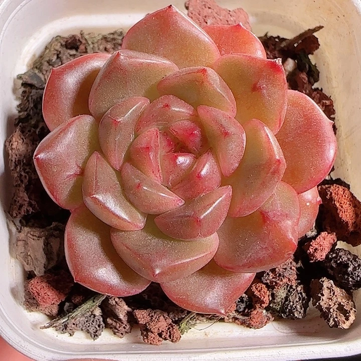 1117-------105福利